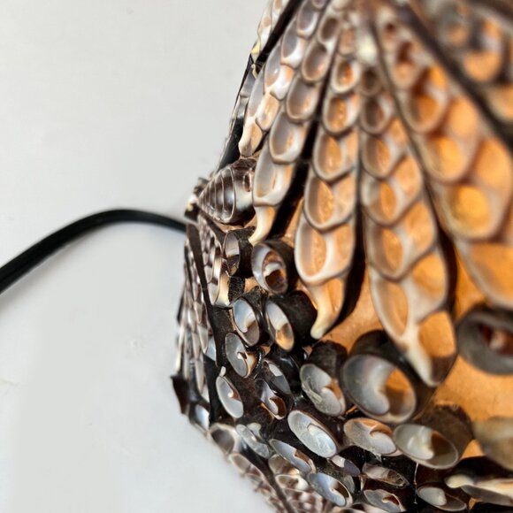 Unique Auger Sea Shell Lamp, 24” High, Only $59 for this beauty! - Picture 5 of 8